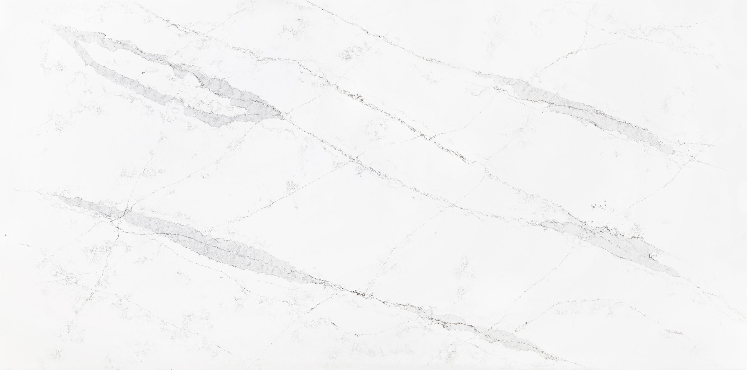 Elegance Michelangelo